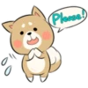 Pretty Puppy 1 17