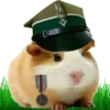 Hamsters Soldados💞1🇵🇪Clásica 11