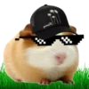 Hamsters Soldados💞1🇵🇪Clásica 12