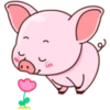 Cutie Pig 2 5