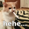 hehe 13