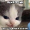 hehe 14