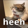 hehe 15
