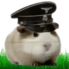 Hamsters Soldados💞1🇵🇪Clásica 14