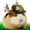 Hamsters Soldados💞1🇵🇪Clásica 15