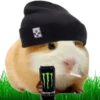 Hamsters Soldados💞1🇵🇪Clásica 17