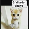 hindi pack 7 12