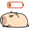 Pipi Capybara #1 10