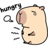 Pipi Capybara #1 11