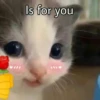 hehe 16