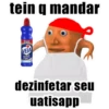 Laranjo_2 12