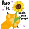 flores Amarillas 2024❤🌼 15