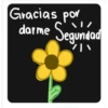 flores Amarillas 2024❤🌼 16