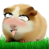 Hamsters Soldados💞1🇵🇪Clásica 18