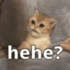 hehe 18