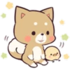 Pretty Puppy 3 15