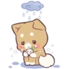 Pretty Puppy 9 15