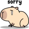 Pipi Capybara #1 13