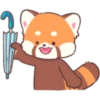 Mimi Red Panda 2 18