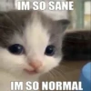 hehe 20