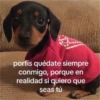 porfis quédate siempre conmigo, porque en realidad si quiero que seas tú