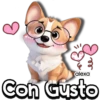 Lindo Tui Nui 🐶💖 20