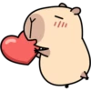 Pipi Capybara #1 14