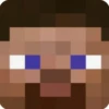Minecraft mob faces 12