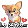 Lindo Tui Nui 🐶💖 22