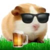 Hamsters Soldados💞1🇵🇪Clásica 22