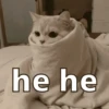 hehe 22