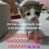 7 me han preguntado que si tú eres mi verdadero amor y yo YO LES DIGO ES EL AMOOOOR DE MI VIDAAAA