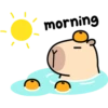 Pipi Capybara #1 19