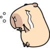 Pipi Capybara #1 20