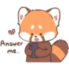 Mimi Red Panda 2 26