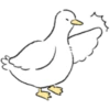 Cutie Duck 2 12