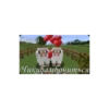minecraft🔥 24