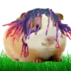 Hamsters Soldados💞1🇵🇪Clásica 24