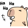 Pipi Capybara #1 22