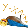 ASESTWORD STIKERS PARODY 😳🥝 18