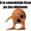 Laranjo_2 22