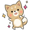 Pretty Puppy 3 21