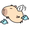 Pipi Capybara #1 23