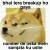 hindi pack 7 20
