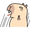 Pipi Capybara #1 24