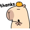 Pipi Capybara #1 25