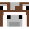 Minecraft mob faces 14