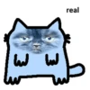 what the nub (part 1) 22