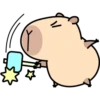 Pipi Capybara #1 27