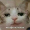 hehe 25